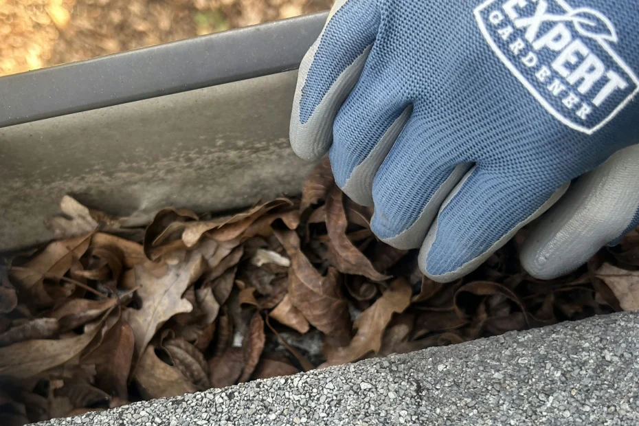 Gutter Cleaning Leesburg FL