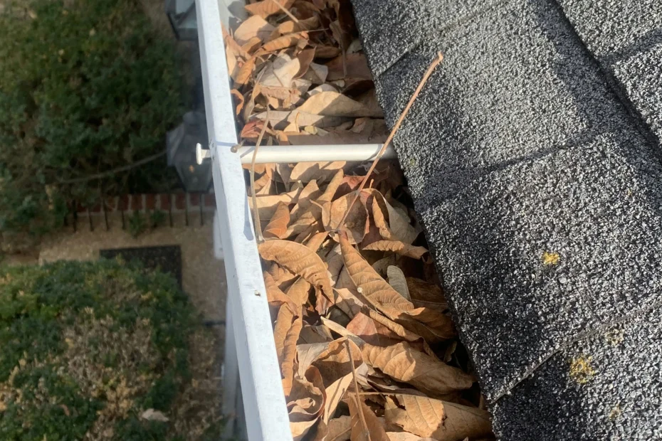 Gutter Cleaning Leesburg FL