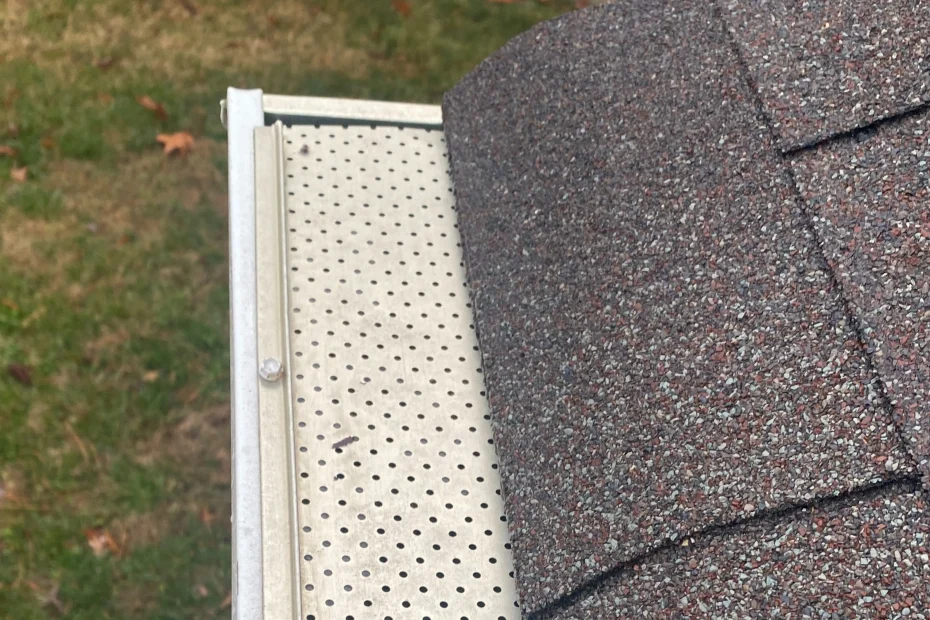 Gutter Cleaning Leesburg FL