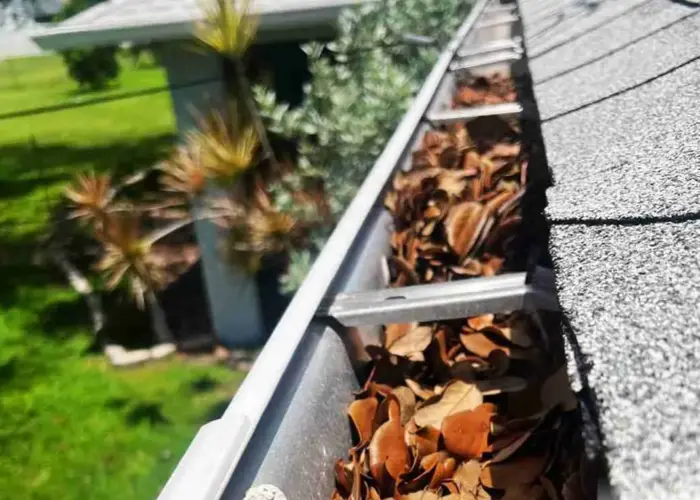 Gutter Cleaning Leesburg FL home page